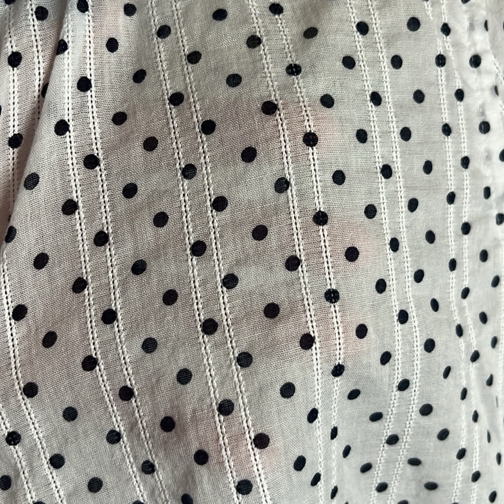 Foxcroft Semi-Sheer Polka Dot Button Down - Picture 5 of 5